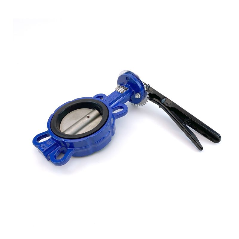 Manual Water Butterfly Valve MDW(DN80\DN100)